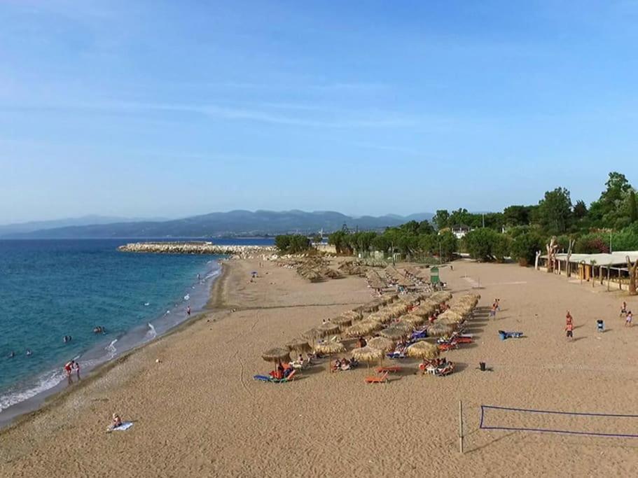Appartamento Στούντιο Σε Πέτρινο Σπίτι, Κοντά Σε Παραλία Kyparissia Esterno foto